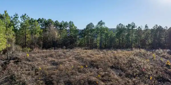 Lot 9 Polk Road 617