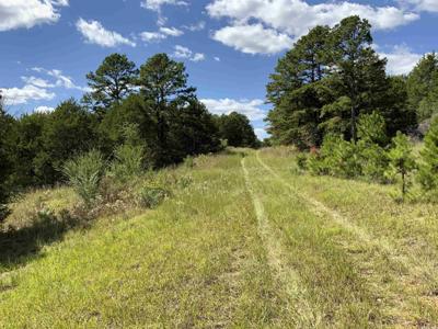 999 N Scenic Drive
