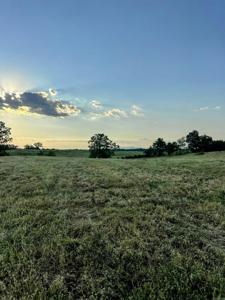 Unk Polk Road 62