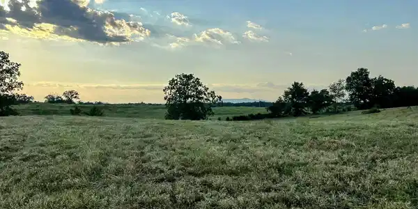 Unk Polk Road 62