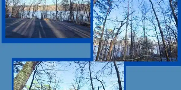 Lot 66 Lower Ridge Circle