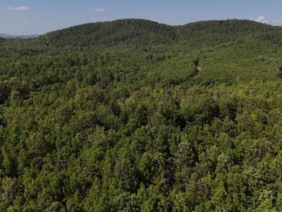 Lot 1 Polk Road 78