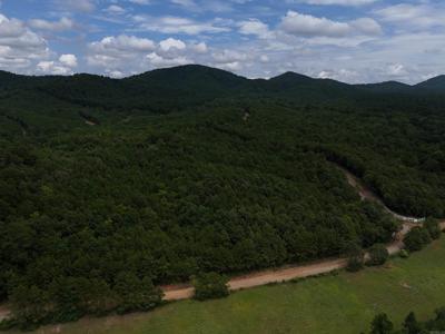 Lot 2 Polk Road 78