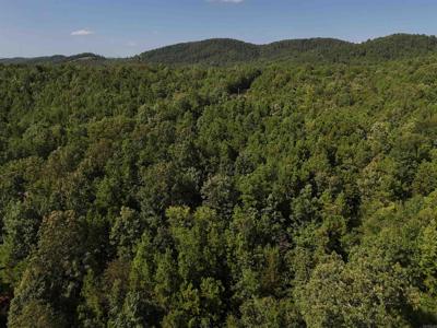 Lot 4 Polk Road 78