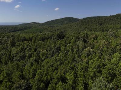 Lot 8 Polk Road 78