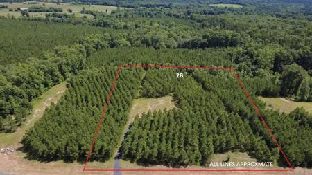 Tract 2B Avalon Lake Lane