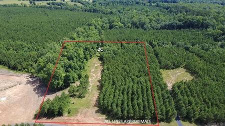 Tract 2C Avalon Lake Lane