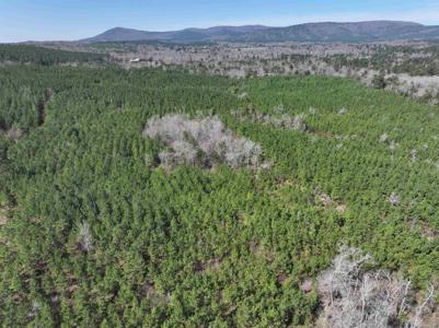 TBD Polk Road 40