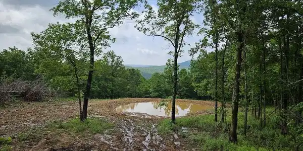 Crow Drive
