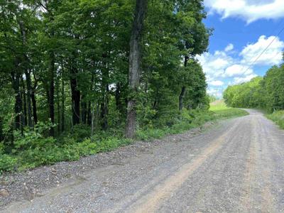 TBD Lick Fork Rd