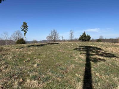 Tract 2 The Blessing 3.47 acres
