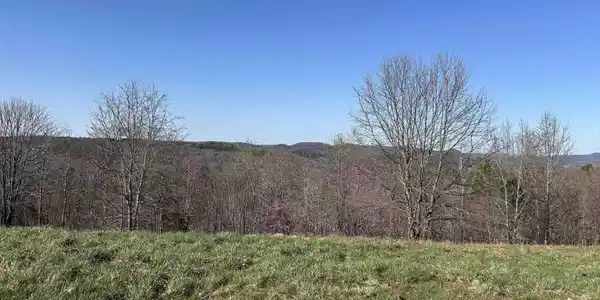 Tract 4 The Blessing 3.30 acres