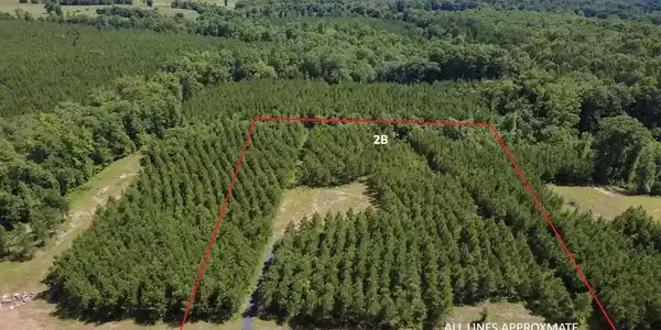 Tract 2B Avalon Lake Lane