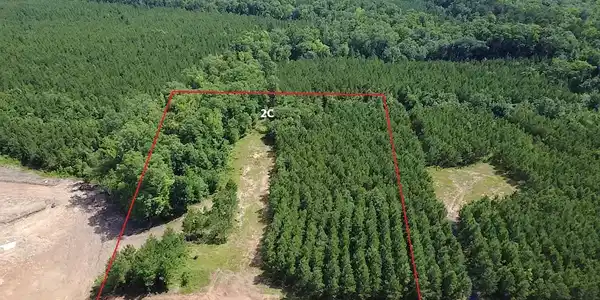 Tract 2C Avalon Lake Lane