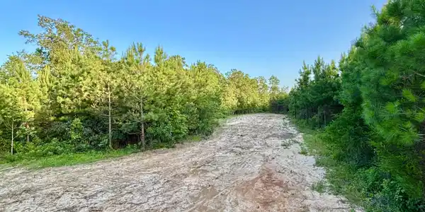 Image 1: private tree lined driveway