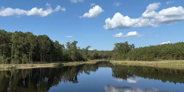 Image 3: Rendering of completed lake