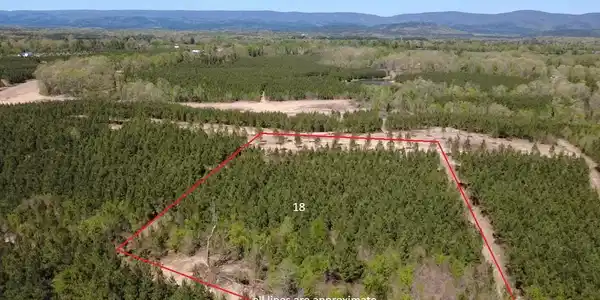 Tract 18 Avalon Lake Lane