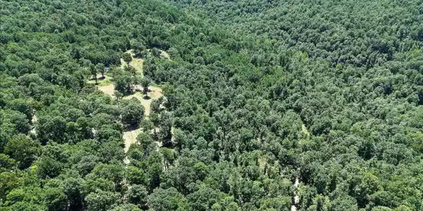 000 Timberline Drive (Tract 1)