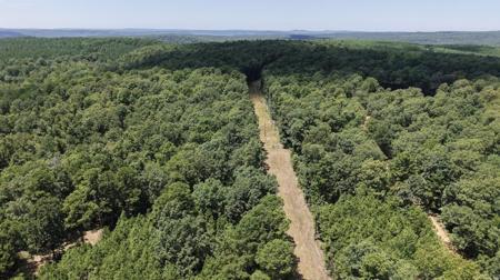 000 Timberline Drive (Tract 2)