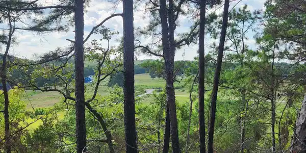Lot 15N Tract A Reva's Way