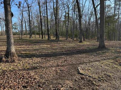 TBD S HWY 71  LOT #2
