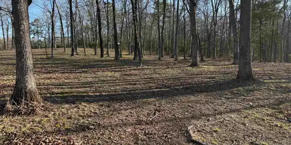 TBD S HWY 71  LOT #2