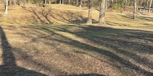 TBD Polk Road 168 LOT #3