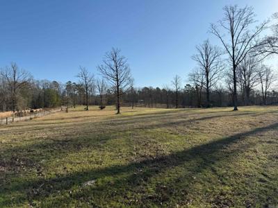 TBD Polk Road 168 LOT #5