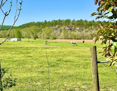 1112 Silver Rock Road