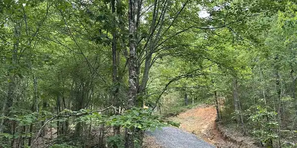 TBD Timber Ln