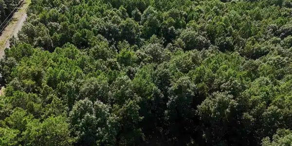 Lot 12 Polk Road 78