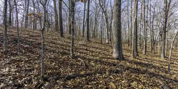 000 Buck Ridge Lane