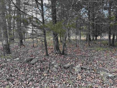 Heber Springs Area