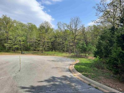 Lots 33 & 34 Tunica st