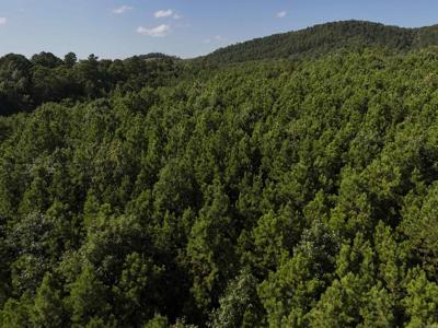 Lot 14 Polk Road 78