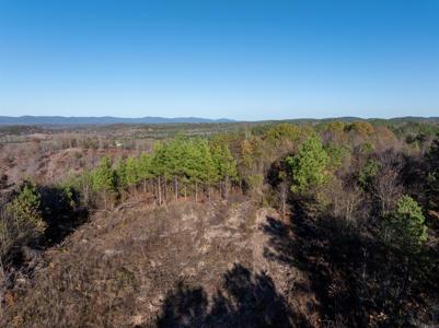 Lot 13 Polk Road 617