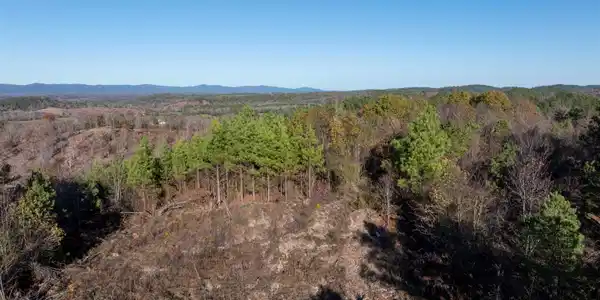 Lot 13 Polk Road 617