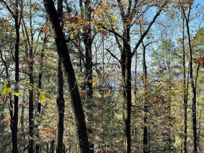 Lot 267R Blk 15 Ridgeview Drive Drive