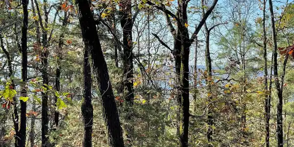 Lot 267R Blk 15 Ridgeview Drive Drive