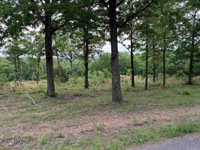 TRACT 1 Watersedge Drive