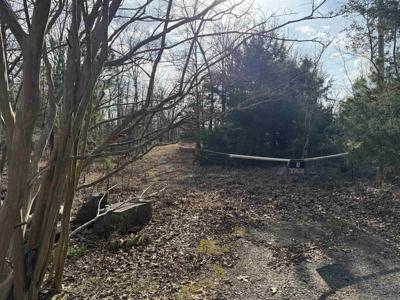 Heber Springs Area