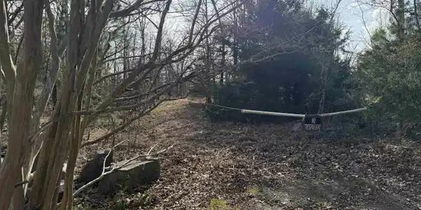 Heber Springs Area