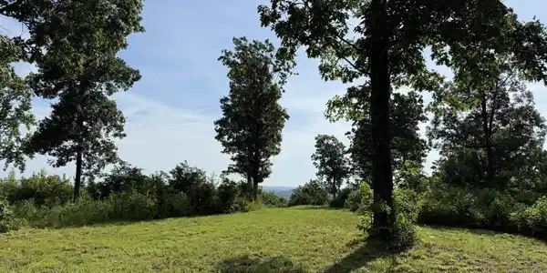 2441 S AR Hwy 9