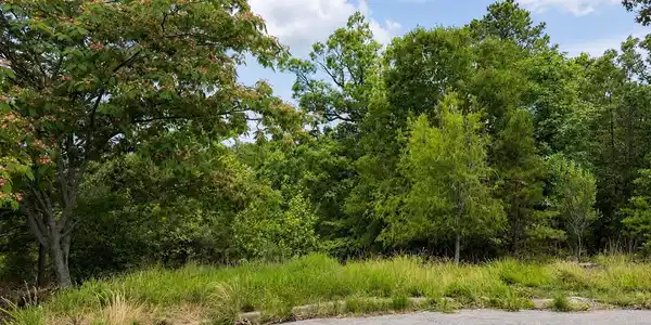 34 Basswood Terrace