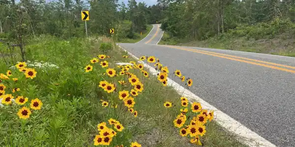 TBD Hwy 84