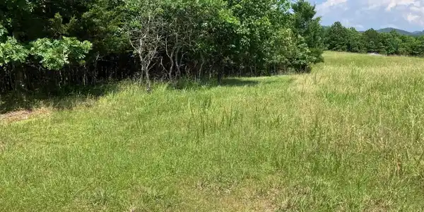 TBD Tract 1 Thompson Creek Lane