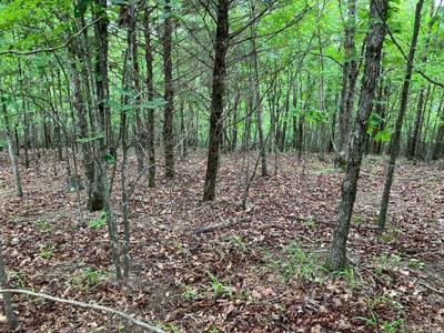 TBD Tract 2 Thompson Creek Lane
