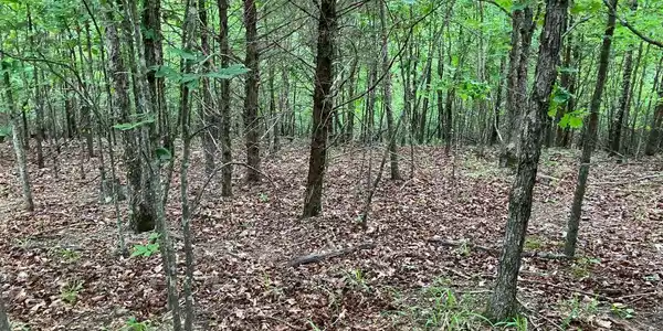 TBD Tract 2 Thompson Creek Lane
