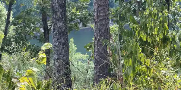 Lot 14/Block 6 Lynn Creek Dr.