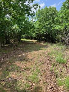 TBD Tract 4 Thompson Creek Lane